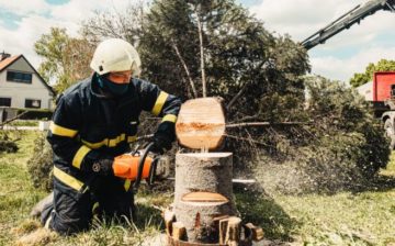 cutting down trees in your property