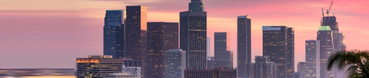 moving company Los Angeles