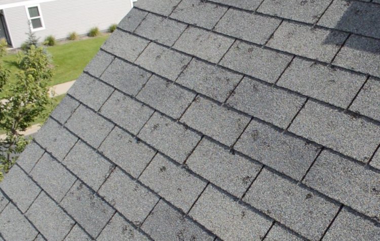 Hail Damage to Asphalt Shingles: What You Need to Know
