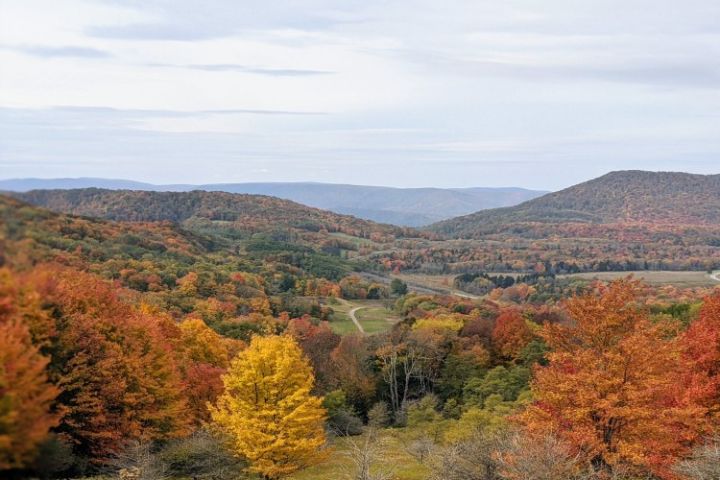 virginia landscape