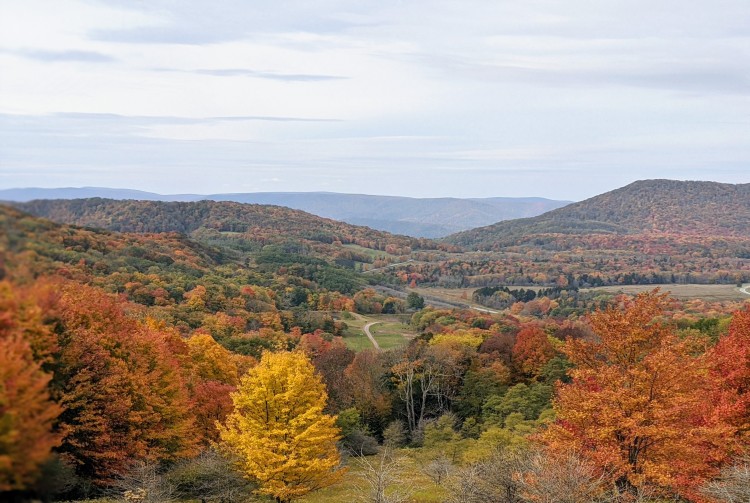 Virginia