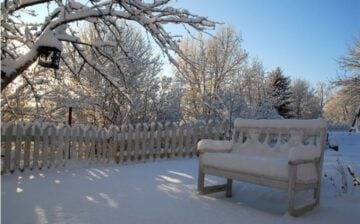 Garden In The Winter