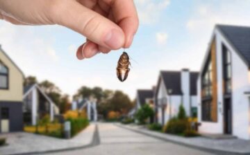 Pest Proof Your New House