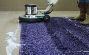 Hiring Carpet Cleaners