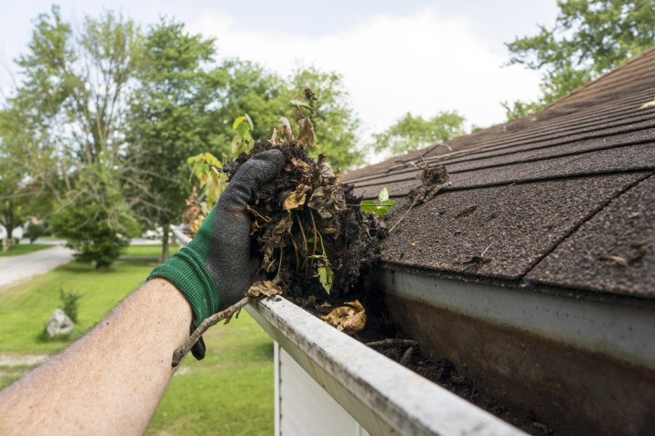 Gutter Cleaned