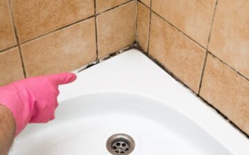 Bathroom Mold Removal