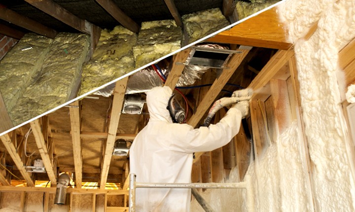 Detection of Mold in the Attic