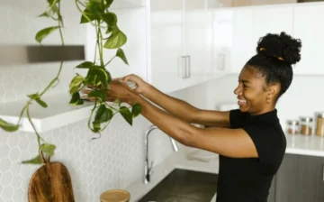 Indoor Vertical Gardening