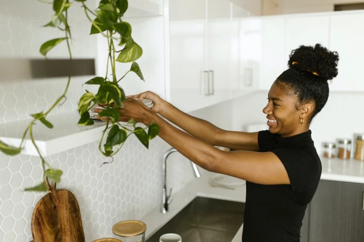 Indoor Vertical Gardening