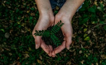 hands grabbing soil with a plant