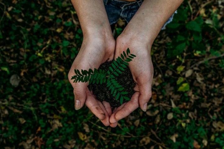 hands grabbing soil with a plant