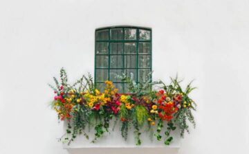 vertical garden