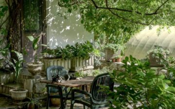 garden with plants