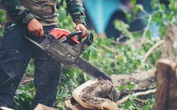 man cutting tree with chainsaw