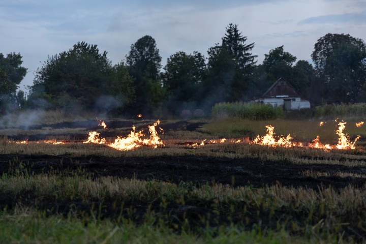field set on fire by forest fire