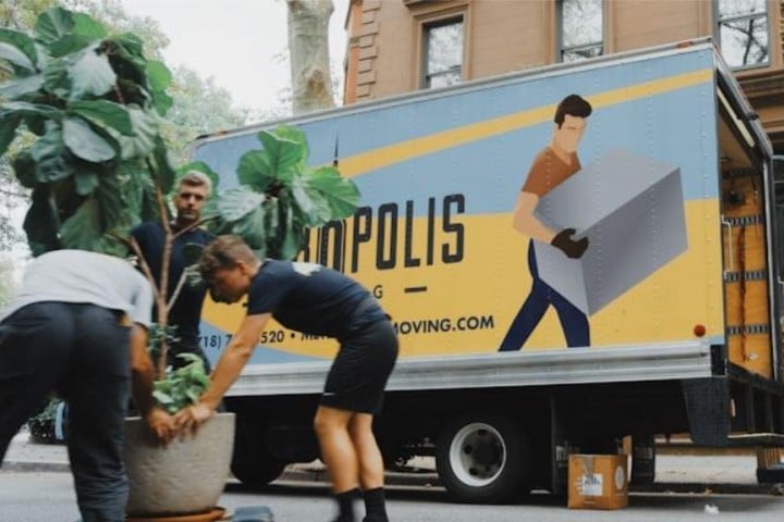 men moving plant making move
