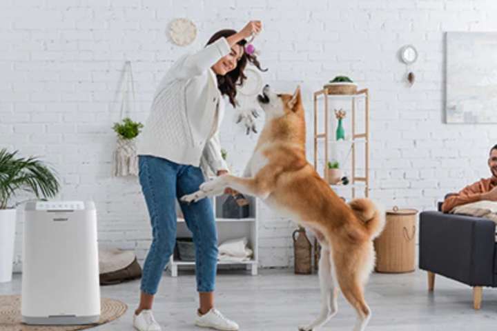 woman with playing with the dog