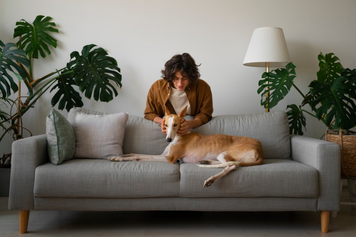 Woman with her dog on the couch