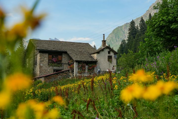house in the mountains surrounded by flowers