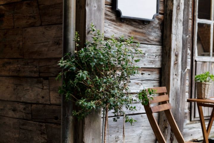 wooden house with outdoor trees