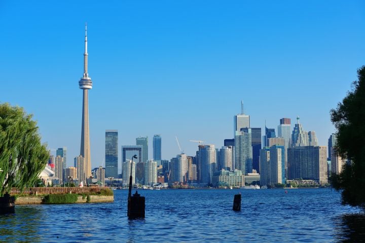 toronto skyline from park