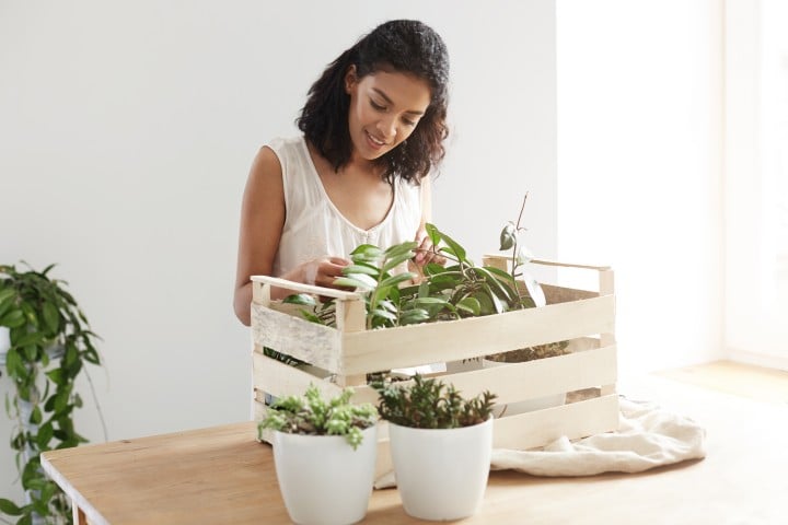 woman packing plants for moving