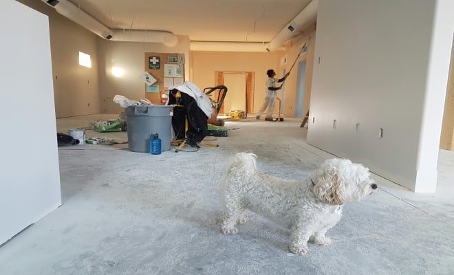 cleaning around hvac system
