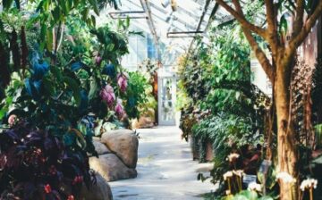 your garden