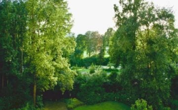artificial grass