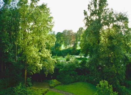 artificial grass